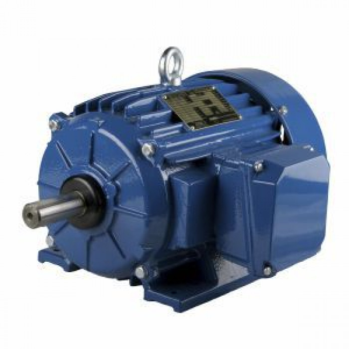 Электродвигатель Cantoni Motor серии ESg286TS-2