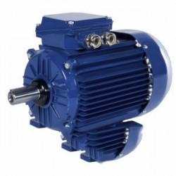 Электродвигатель Cantoni Motor серии 2SIE132M2A Электродвигатель Cantoni Motor серии 2SIE132M2A