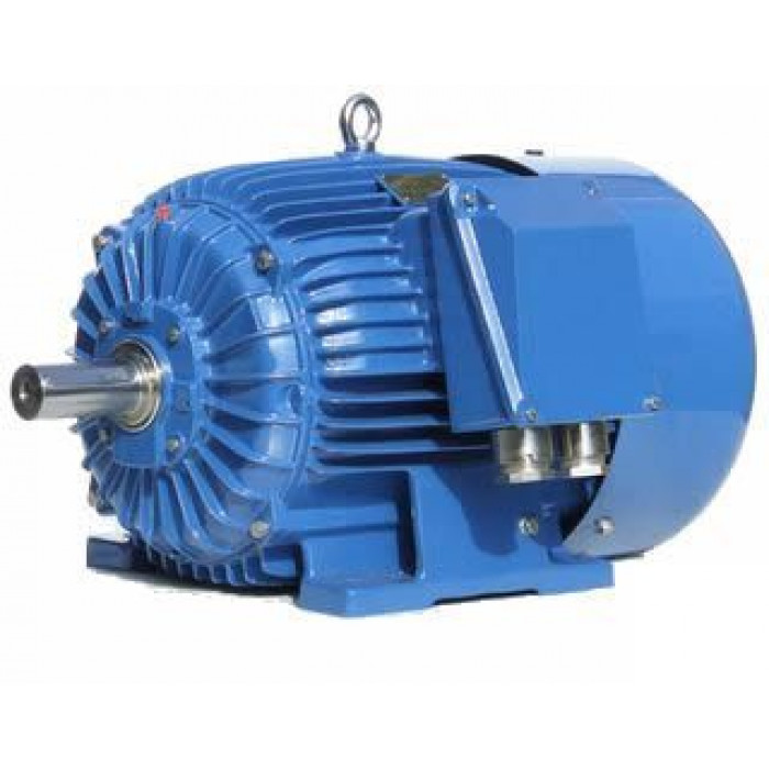 Электродвигатель Cantoni Motor серии 2Sg315M10