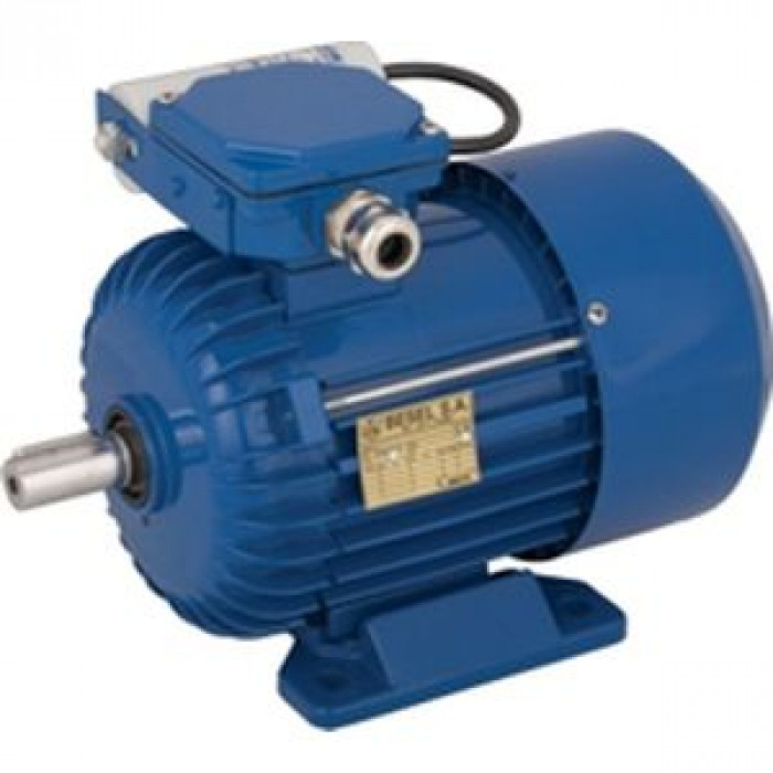 Электродвигатель Cantoni Motor серии SEMh90-4L