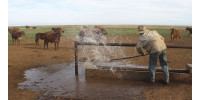 Насос для воды / с двигателем внутреннего сгорания / с ручным заполнением / для сельского хозяйства