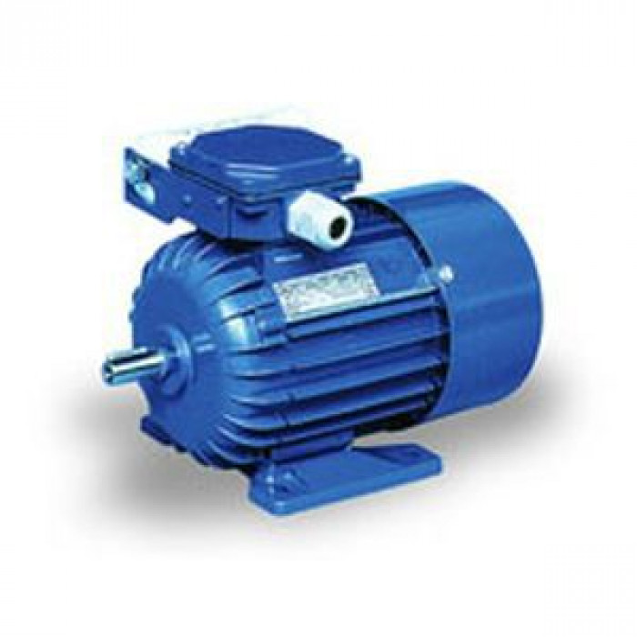 Электродвигатель Cantoni Motor серии SEMh56-2A