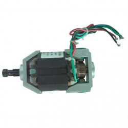 Универсальный двигатель / DC / 220В / 110 V