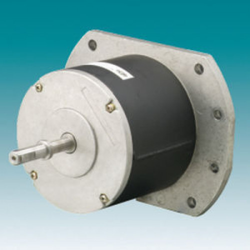 Двигатель DC / BLDC / 12В / 280V