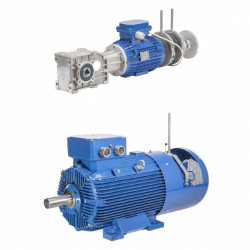 Тормозной электродвигатель Cantoni Motor Тормозной электродвигатель Cantoni Motor