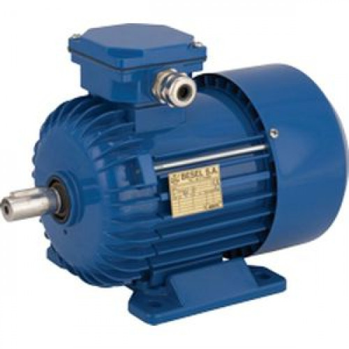 Электродвигатель Cantoni Motor серии 2SIE71x-2C