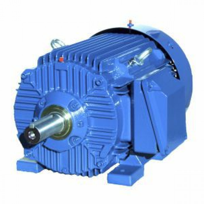 Электродвигатель Cantoni Motor серии SIE254T6