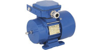 Электродвигатель Cantoni Motor серии SEMh56-2A Электродвигатель Cantoni Motor серии SEMh56-2A