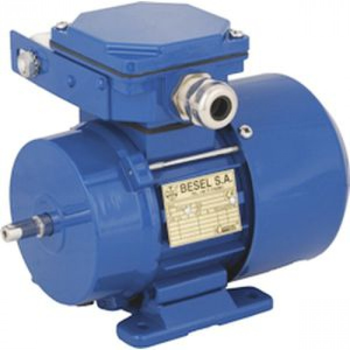 Электродвигатель Cantoni Motor серии SEMh56-2A