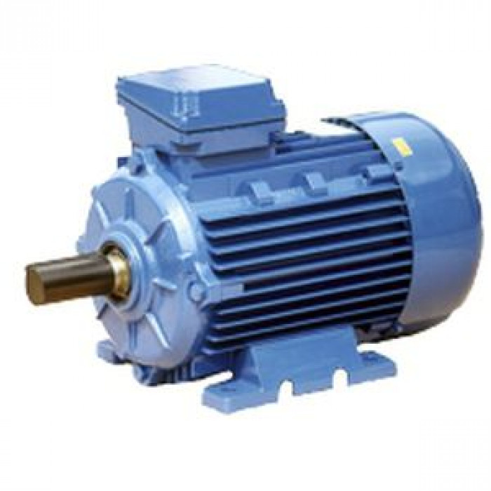 Электродвигатель Cantoni Motor серии 2SIE112M2