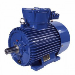 Электродвигатель Cantoni Motor серии (E)CSg132M6B
