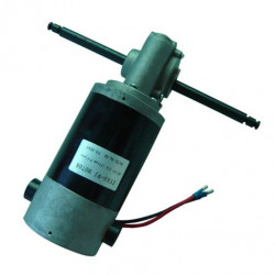 Моторедуктор с бесконечным винтом / 50 - 100 Вт / 1 - 5 Nm / DC