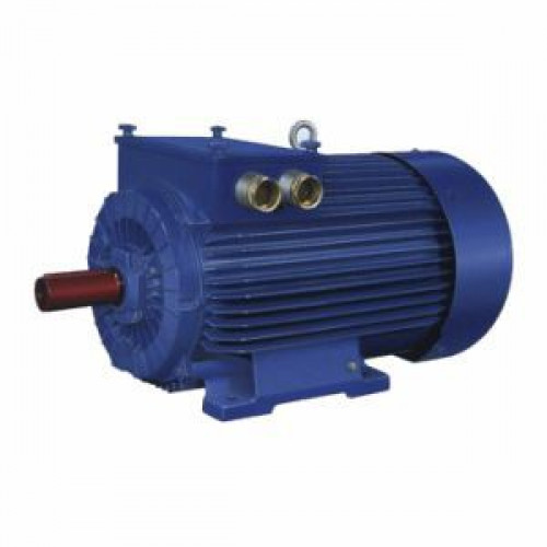 Электродвигатель Cantoni Motor серии 2SUg225M6A