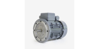 Монофазовый двигатель / индукционный / 220В / 110 V