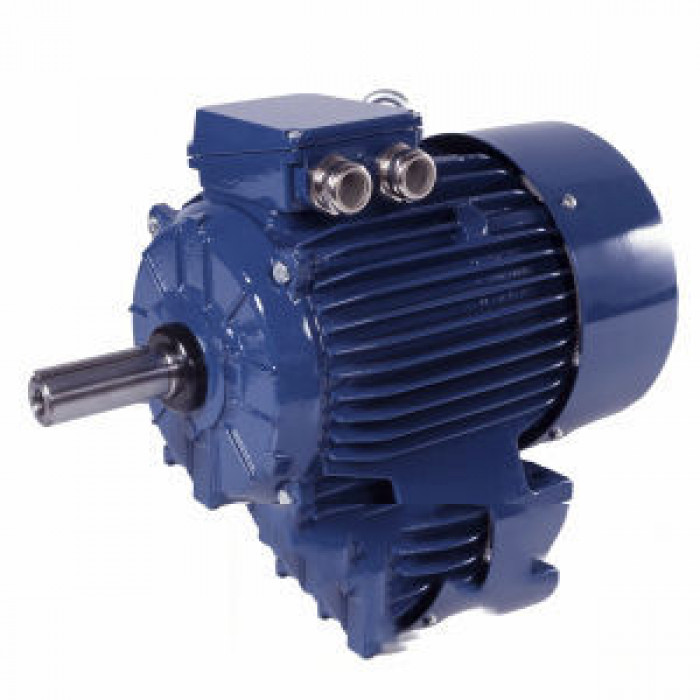 Электродвигатель Cantoni Motor серии Sg132S-4/2