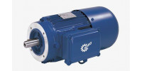 Двигатель ATEX / AC / 230В / 460 V