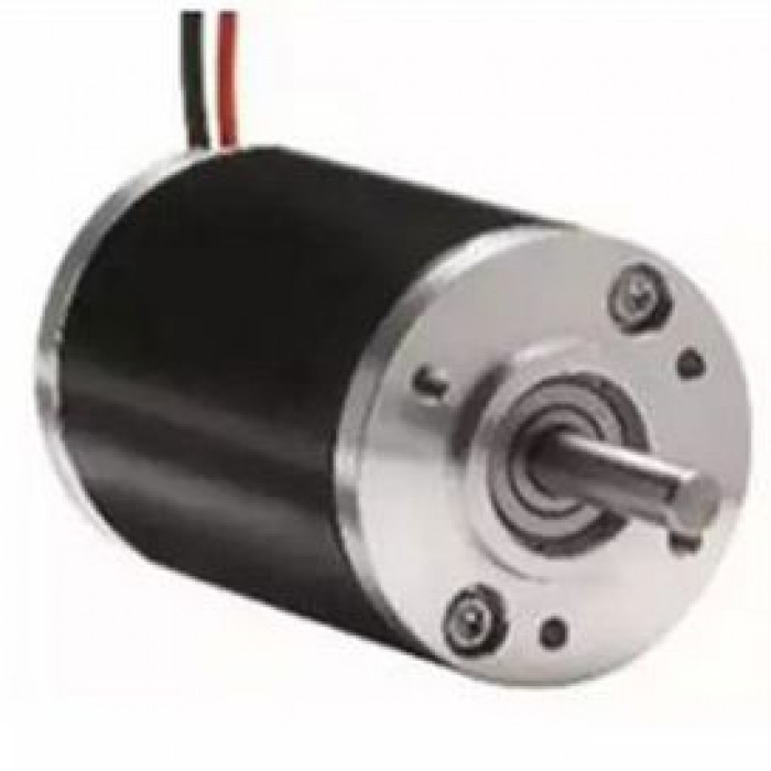 Двигатель DC / со щеткой / 12В / 110 V