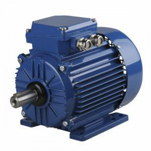 Электродвигатель Cantoni Motor серии ExSh90S-2-3G T4