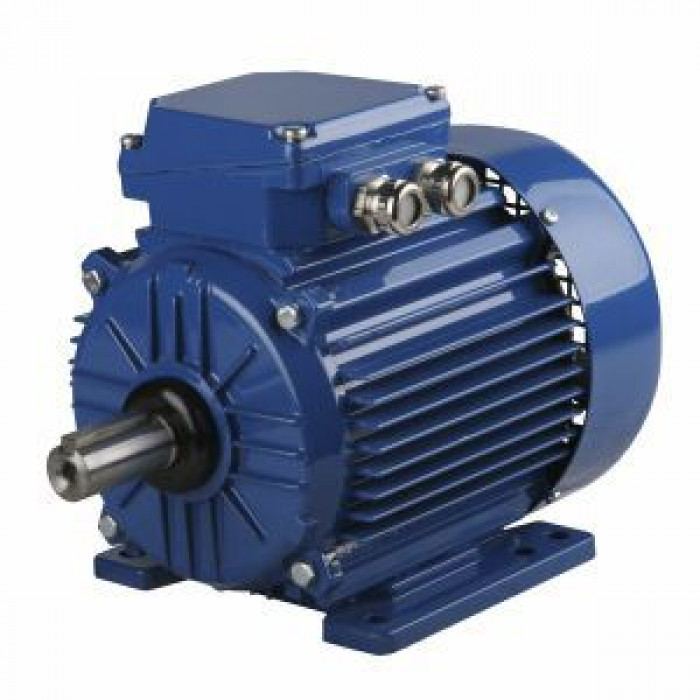 Электродвигатель Cantoni Motor серии ExSh90S-2-3G T4