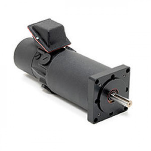 Двигатель DC / со щеткой / 120 V / 60 В