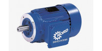 Двигатель ATEX / AC / 230В / 460 V