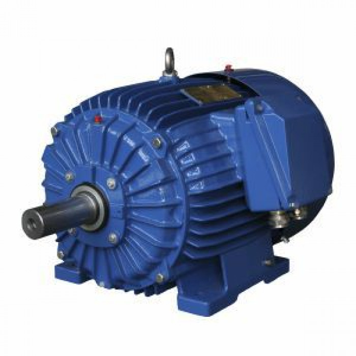 Электродвигатель Cantoni Motor серии ExSh90S-2-2G T4/2D