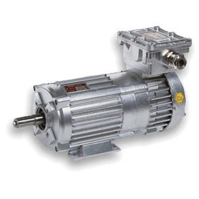 Двигатель AC / трехфазовый / асинхронный / 12В