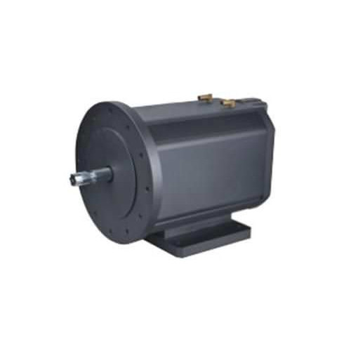 Электродвигатель синхронный SHENZHEN DONGMING MOTOR ELECTRIC CO., LTD серии TYT160