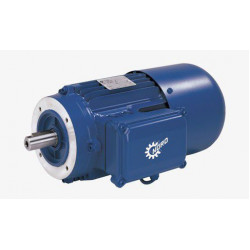 Асинхронный двигатель / AC / 230В / 460 V