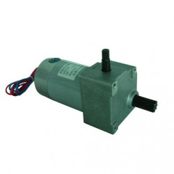 Двигатель с постоянными магнитами / DC / 220В / 110 V