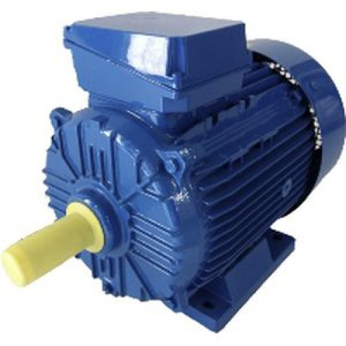 Электродвигатель Cantoni Motor серии 3SIE100L4A
