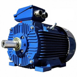 Электродвигатель Cantoni Motor серии 3SIE200L4C Электродвигатель Cantoni Motor серии 3SIE200L4C