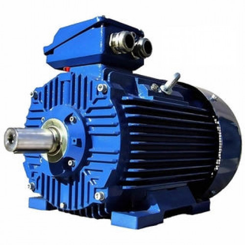 Электродвигатель Cantoni Motor серии 3SIE200L4C