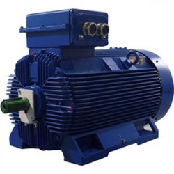 Электродвигатель Cantoni Motor серии 3SIE355ML4B Электродвигатель Cantoni Motor серии 3SIE355ML4B
