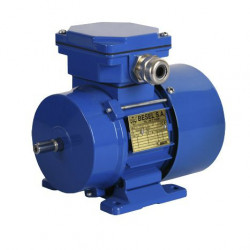 Электродвигатель Cantoni Motor серии Sh63-4B