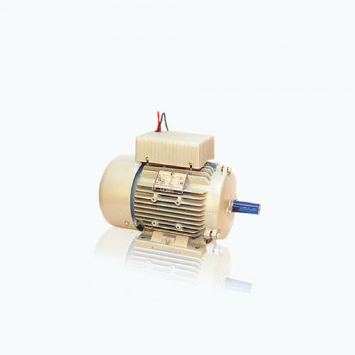 Электродвигатель синхронный CG Power Systems серии SHEETAL