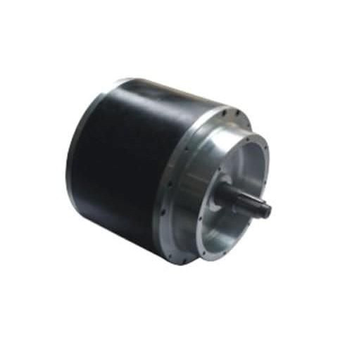 Электродвигатель синхронный SHENZHEN DONGMING MOTOR ELECTRIC серии TYT195