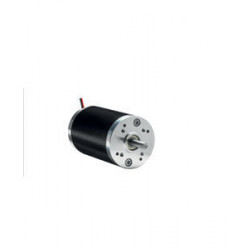 Двигатель DC / со щеткой / 12В / 110 V