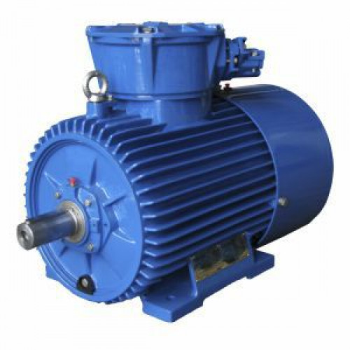 Электродвигатель Cantoni Motor серии dSg80-2A