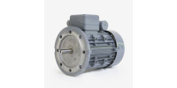 Монофазовый двигатель / индукционный / 220В / 110 V