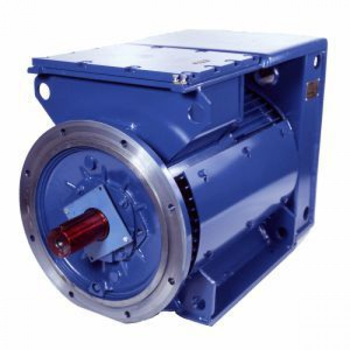 Электродвигатель Cantoni Motor серии 3SGf250M2A-E