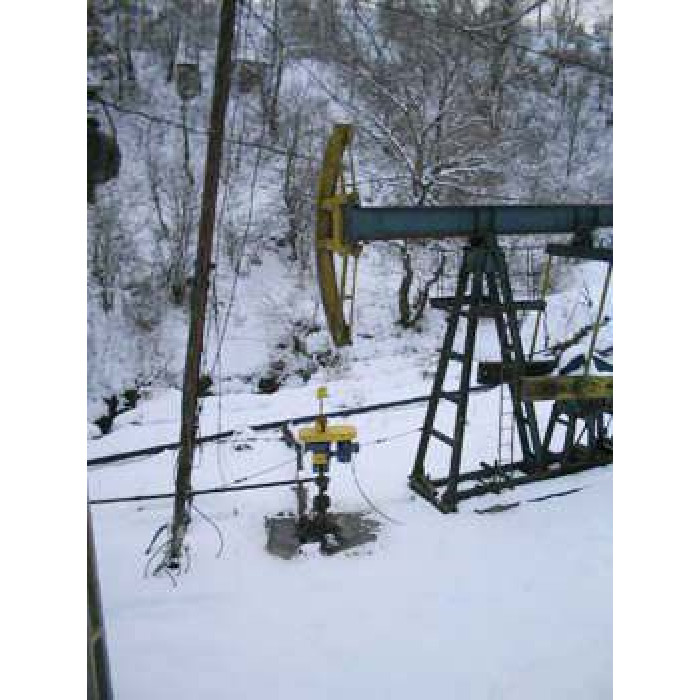 Электрический насос / шестеренчатый / для нефтехимической промышленности / для извлечения