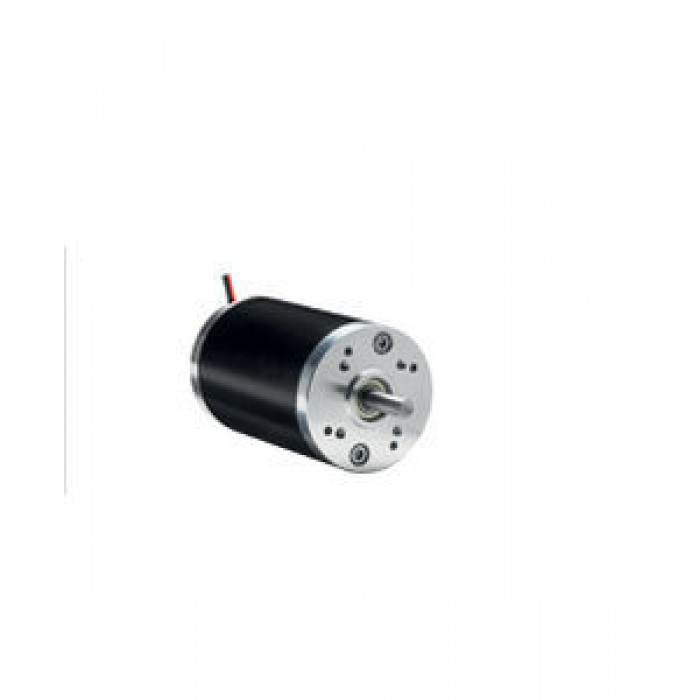 Двигатель DC / со щеткой / 12В / 110 V