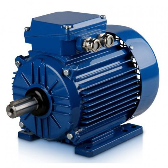 Электродвигатель Cantoni Motor серии Sg100L-4A