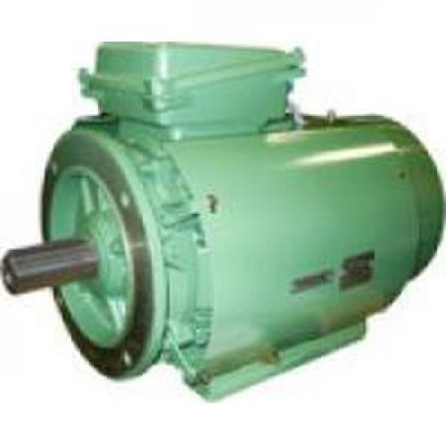 Двигатель AC / трехфазовый / асинхронный / 100 V