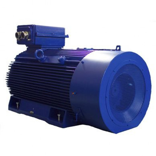 Электродвигатель Cantoni Motor серии 2SIE355H6C